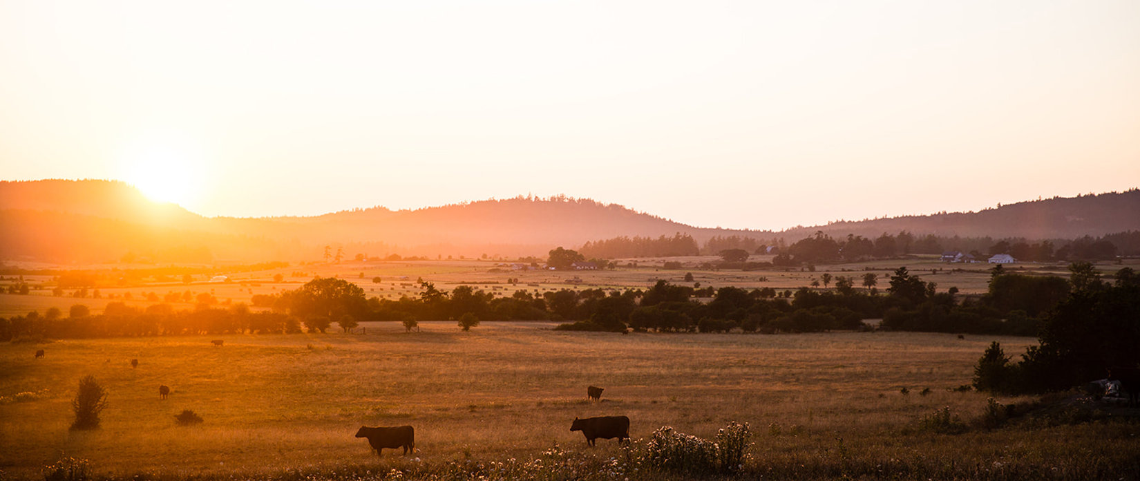 gallery-explore-13-9w38-pasture-sunset.jpg