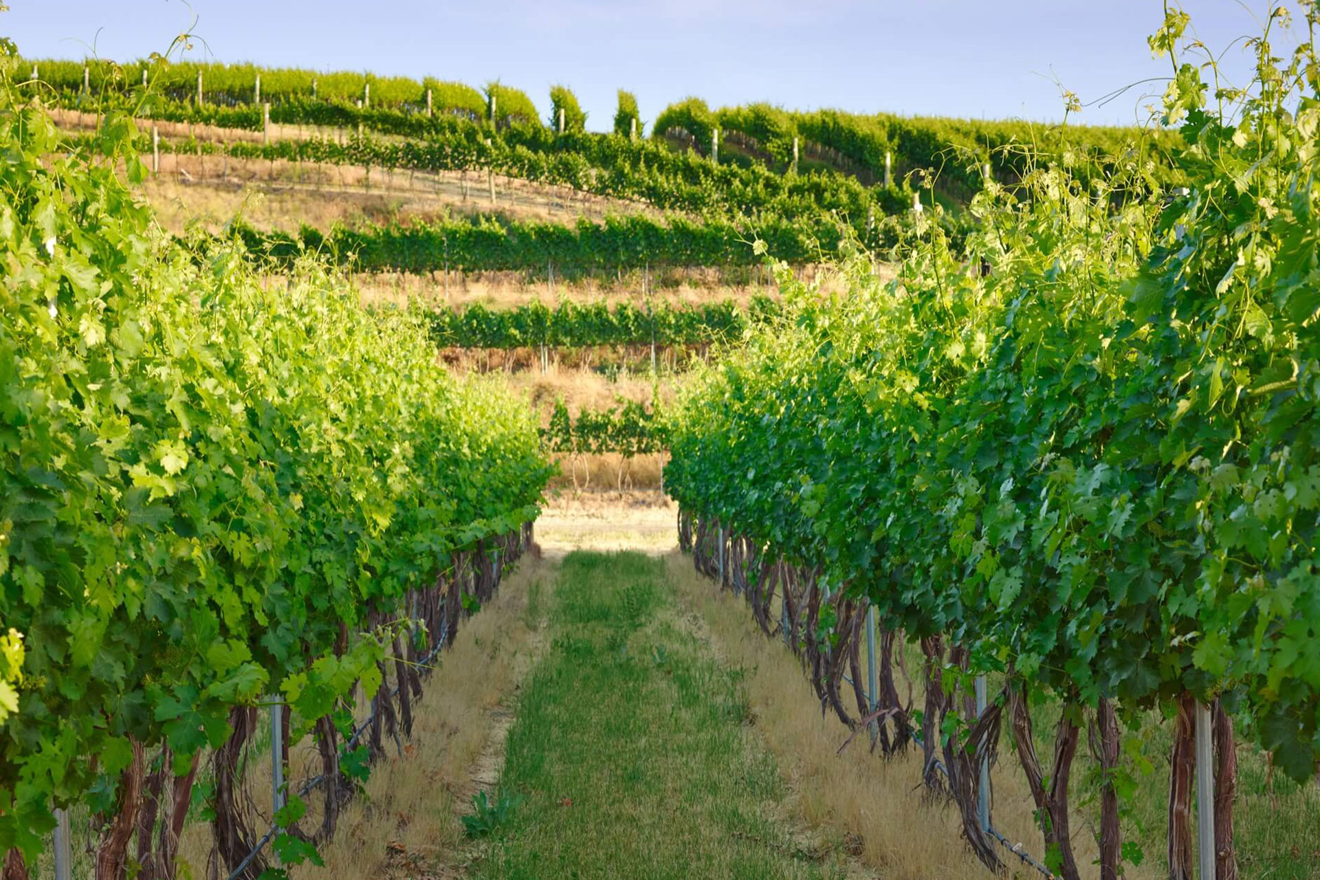 planting & proximity