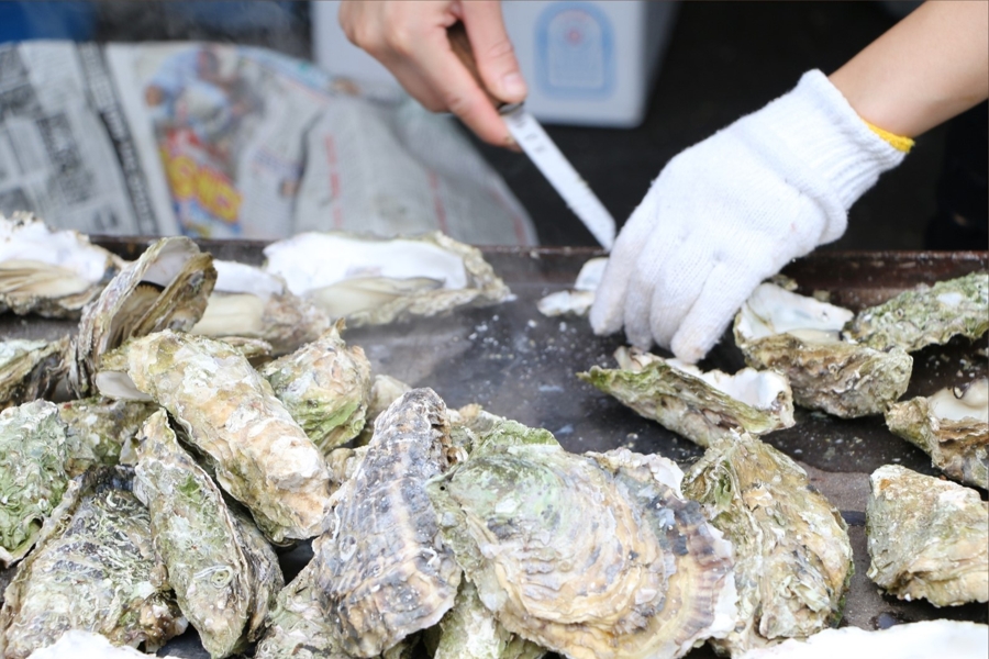 special event: winter oyster fest