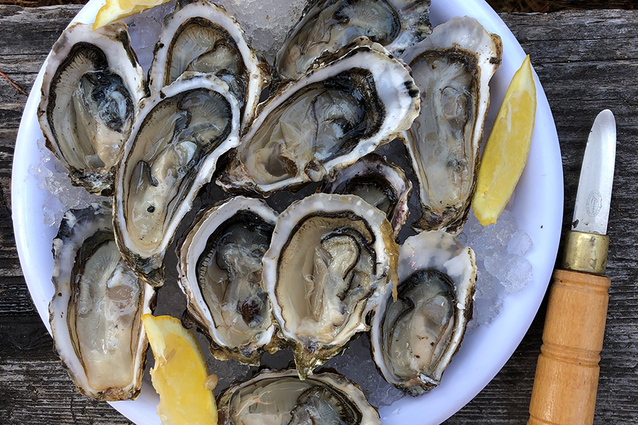 Lunch Oyster on Half Shell