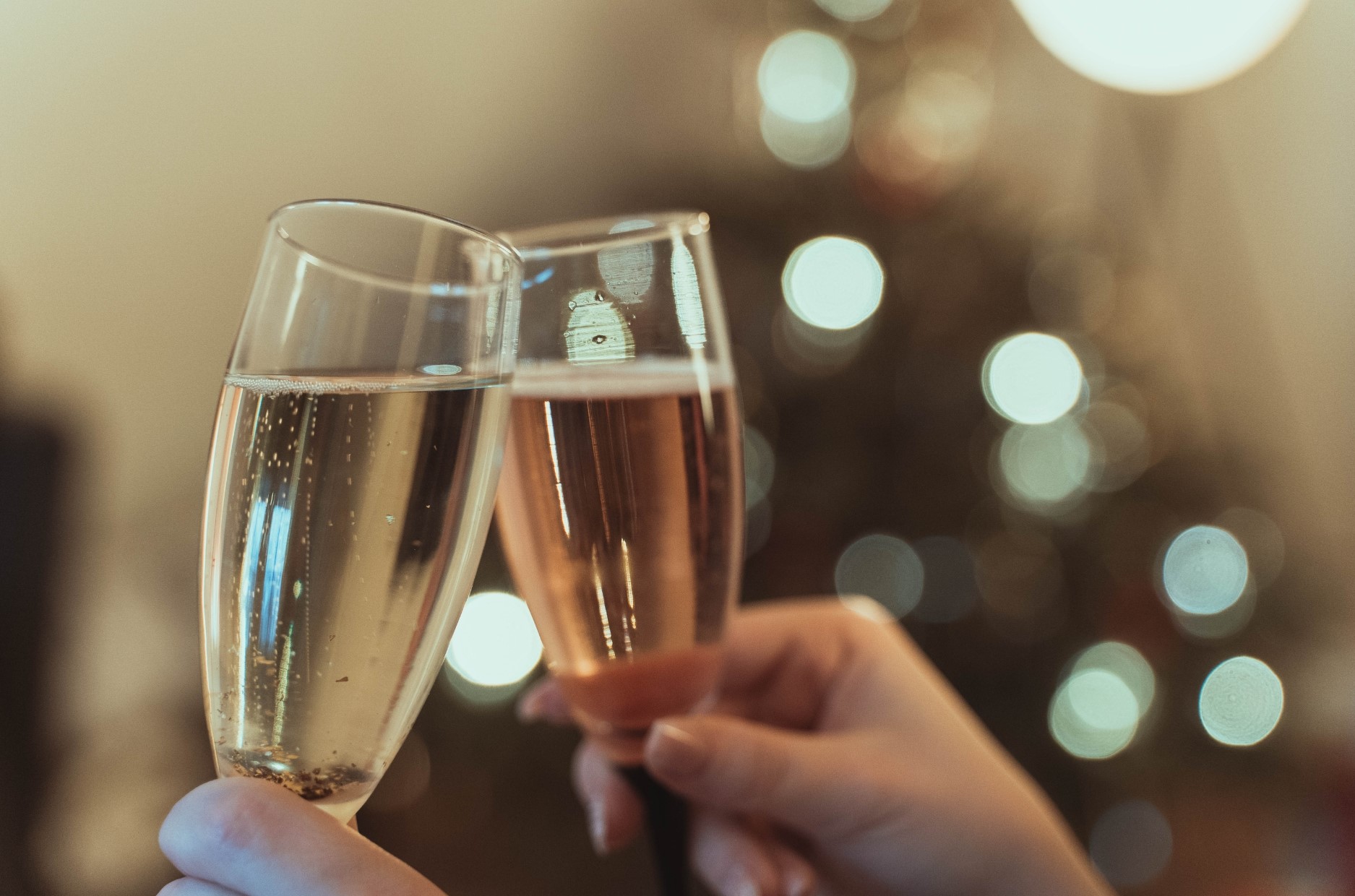 a toast to 2025: four-course new year's eve dinner