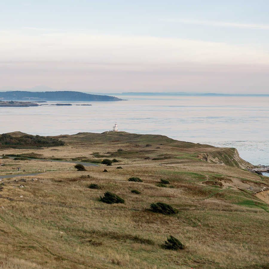 spontaneous island savings