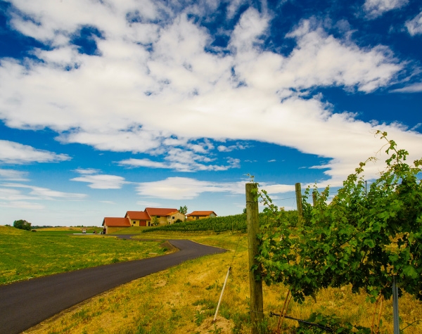 august - pepper bridge winery