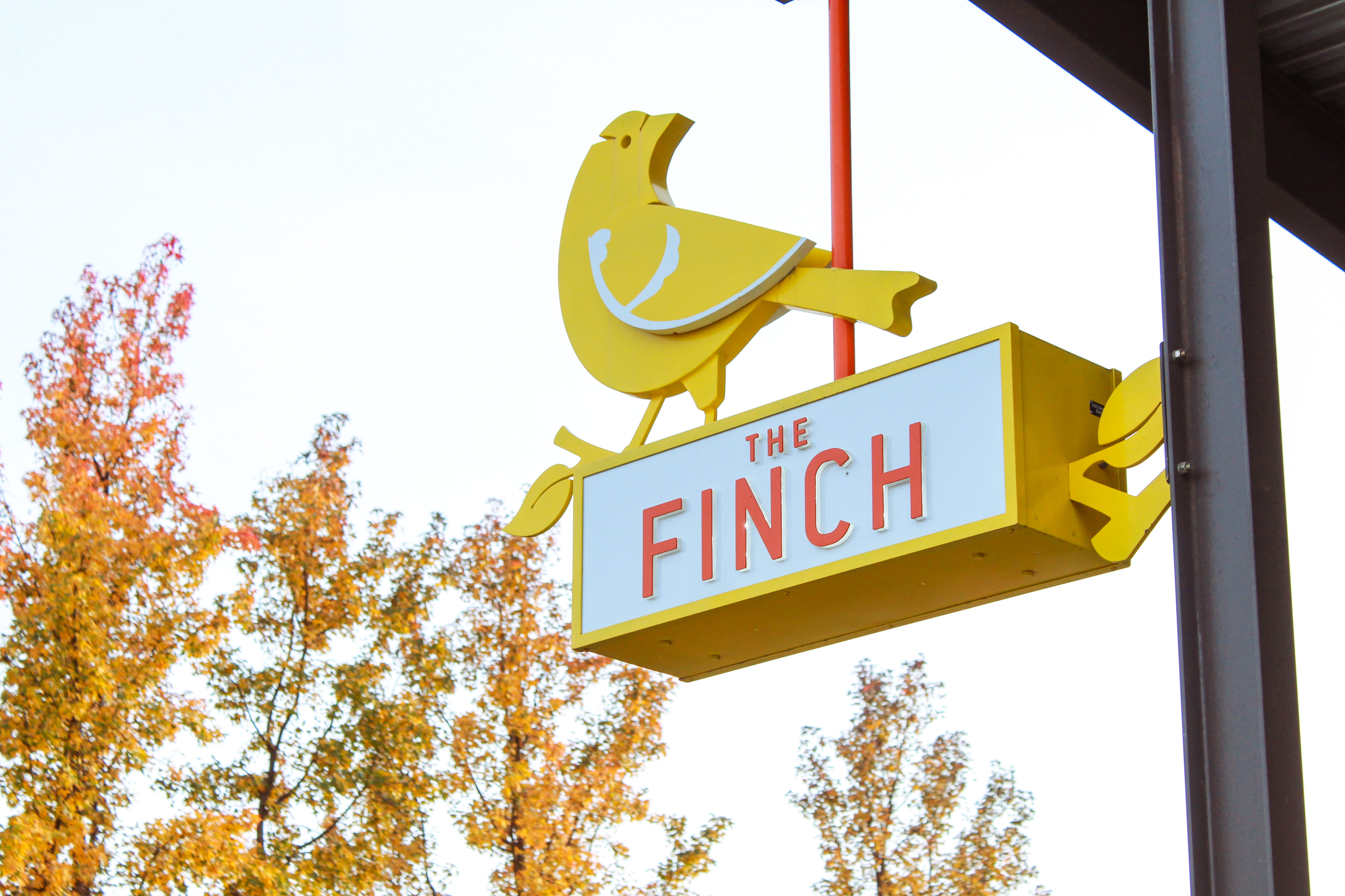 fall savings take flight