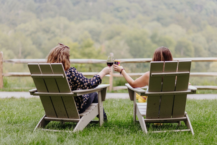 adirondack chair toast