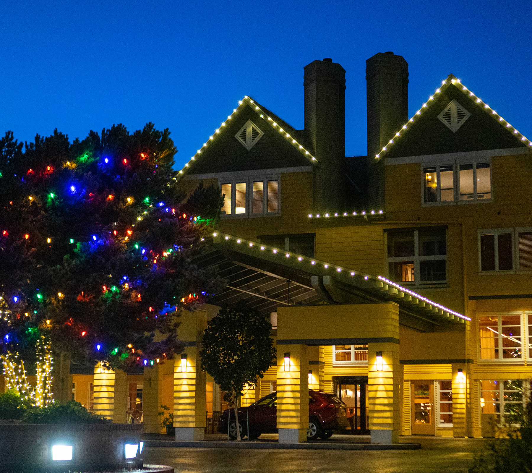 holiday tree lighting 