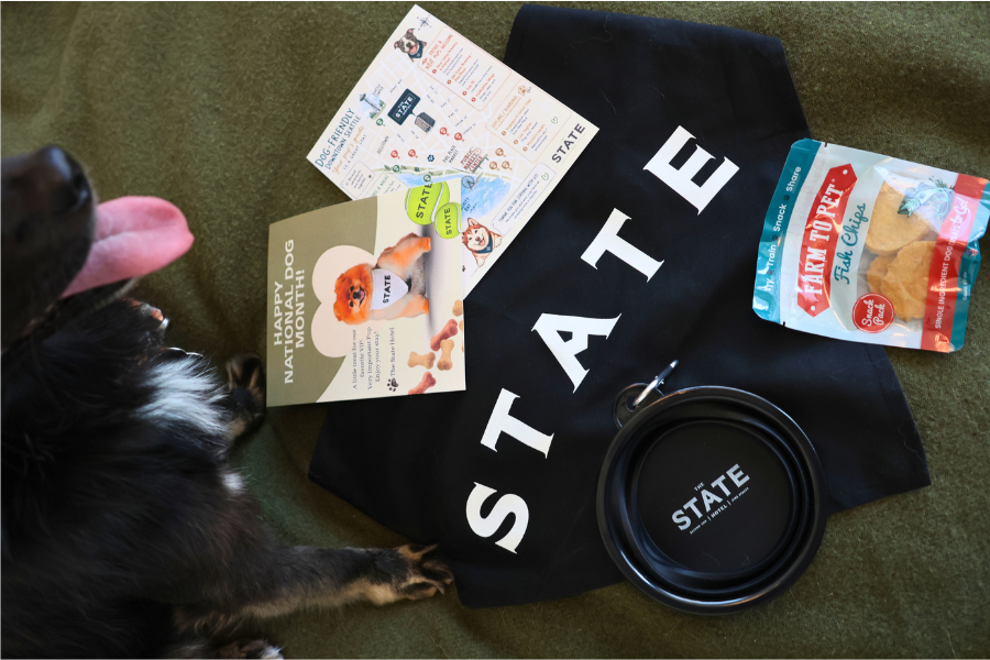 very important pup: a national dog month welcome package