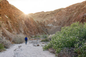 Desert Hiking 300x200