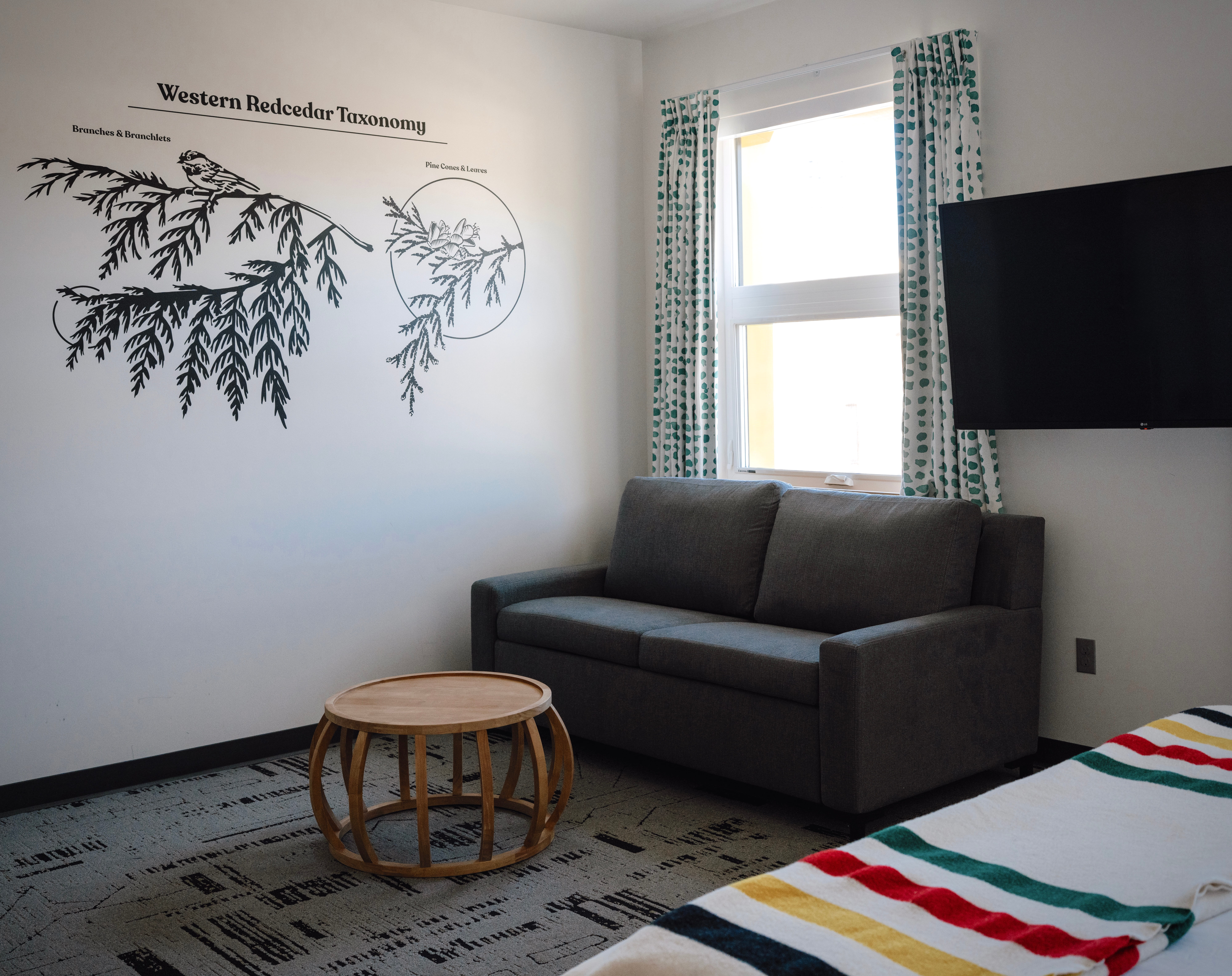 wrn pull out couch carousel image  